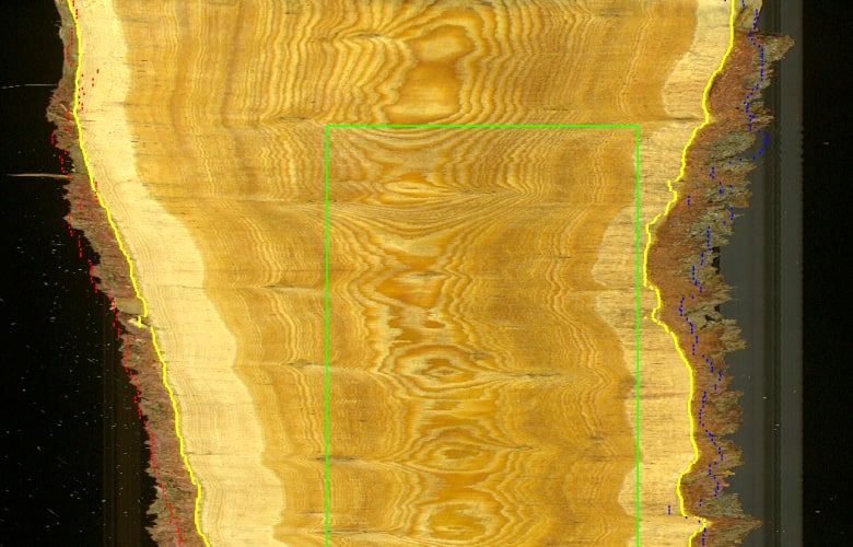 Wane scanner. Edger Optimizer