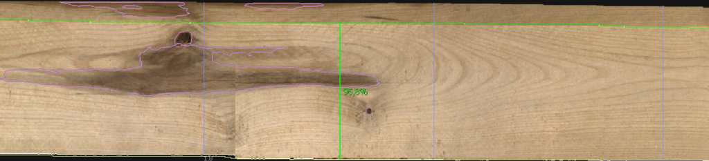 birch1.png
