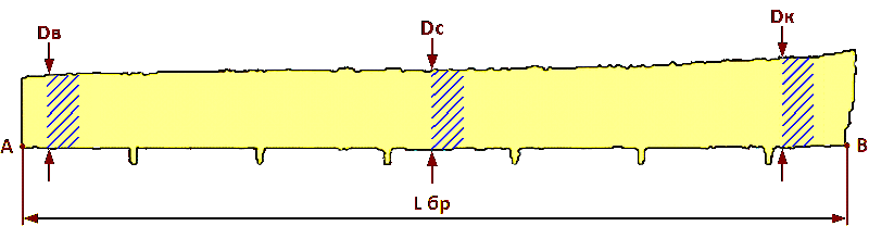 profile3.png